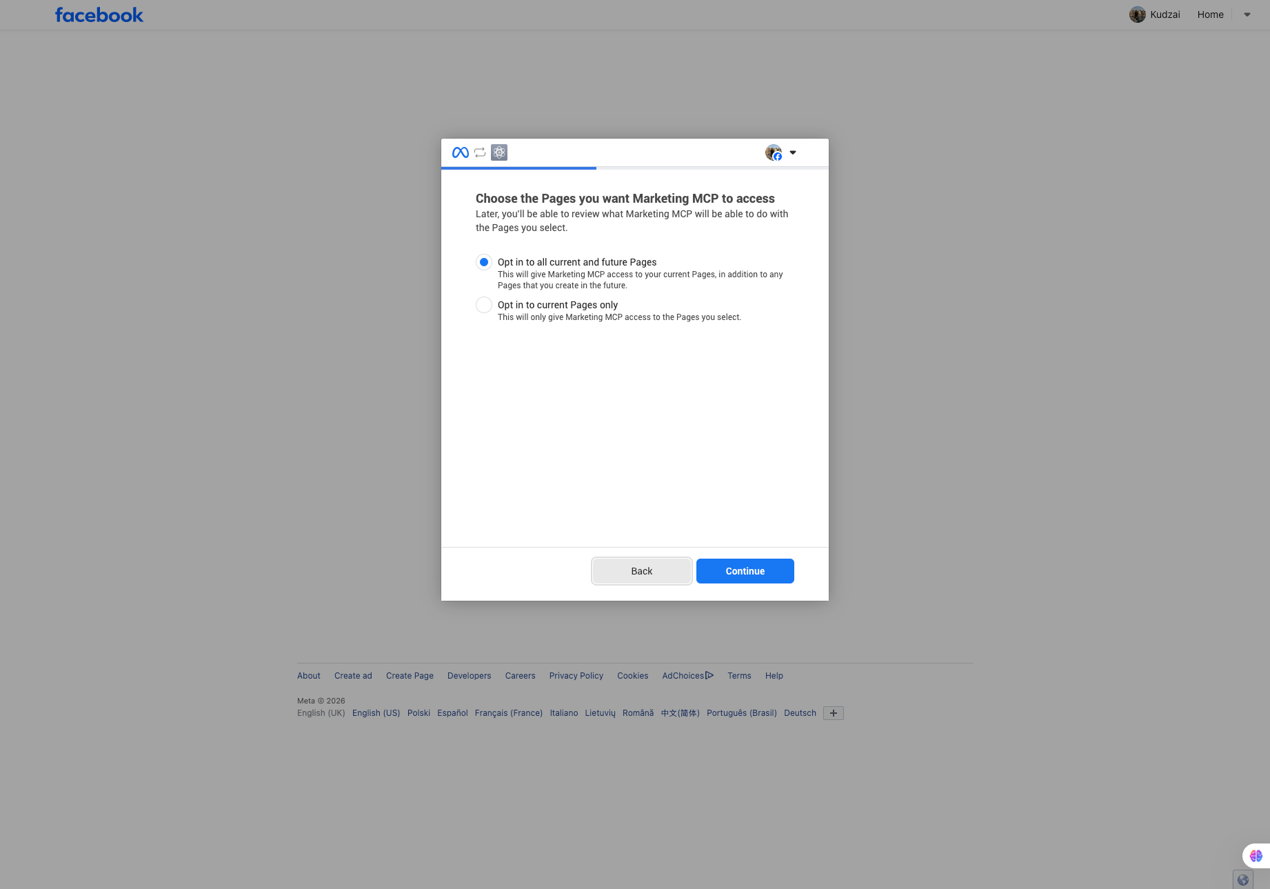 Facebook dialog to choose Pages, with opt in to all current and future Pages selected
